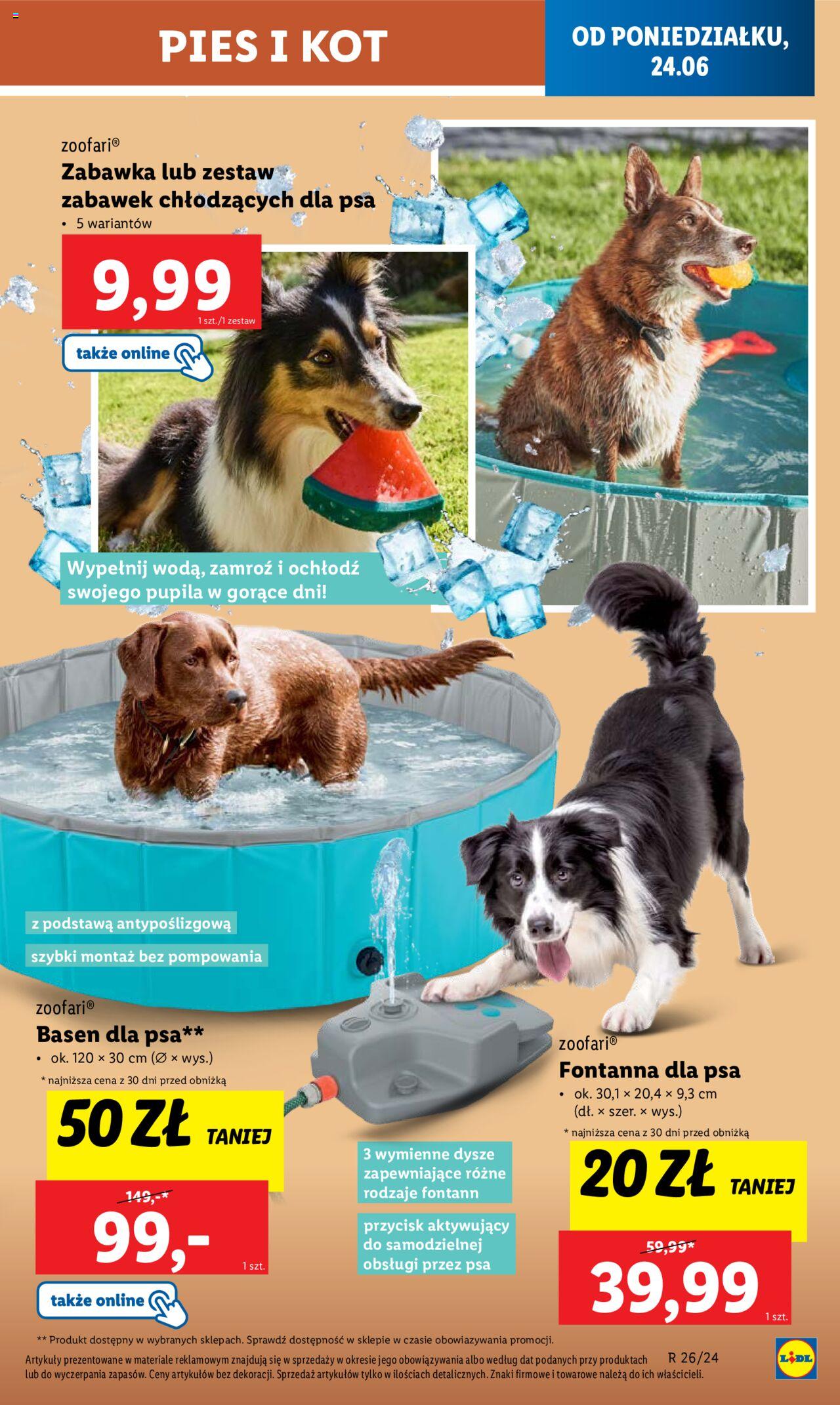LIDL Katalog gazetka ważna od 24.06.2024 do 29.06.2024 strona 13
