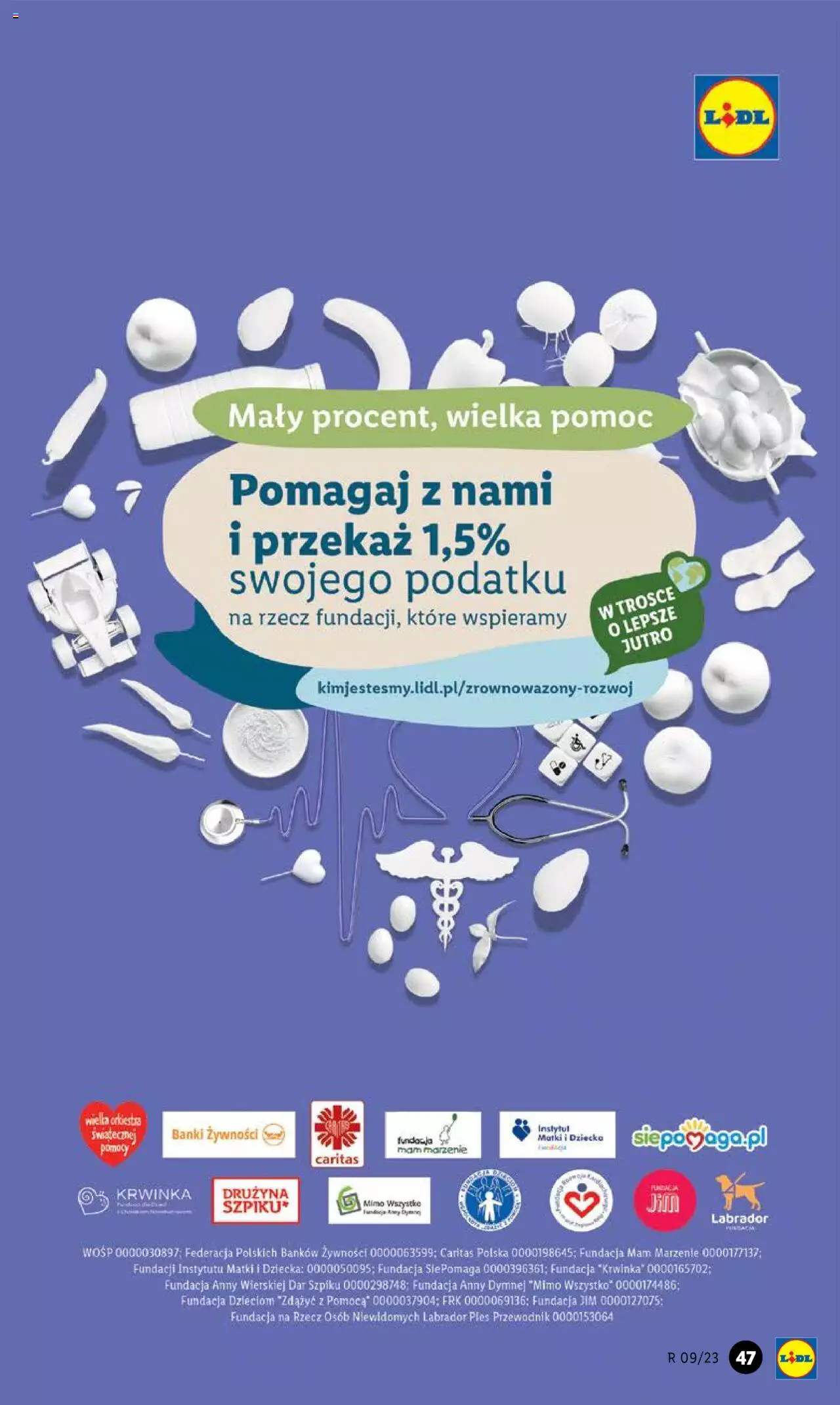 LIDL Katalog gazetka ważna od 27.02.2023 do 04.03.2023 strona 47