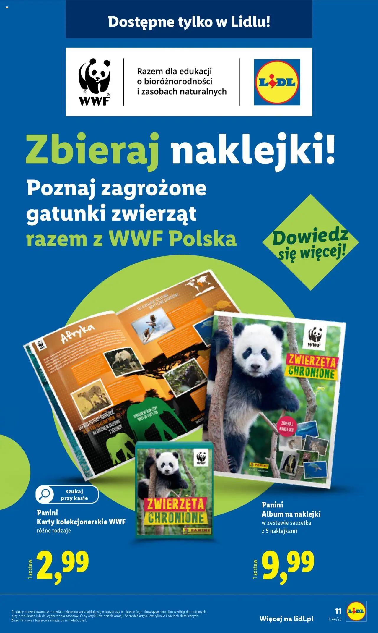 LIDL Katalog gazetka ważna od 27.10.2025 do 31.10.2025 strona 15