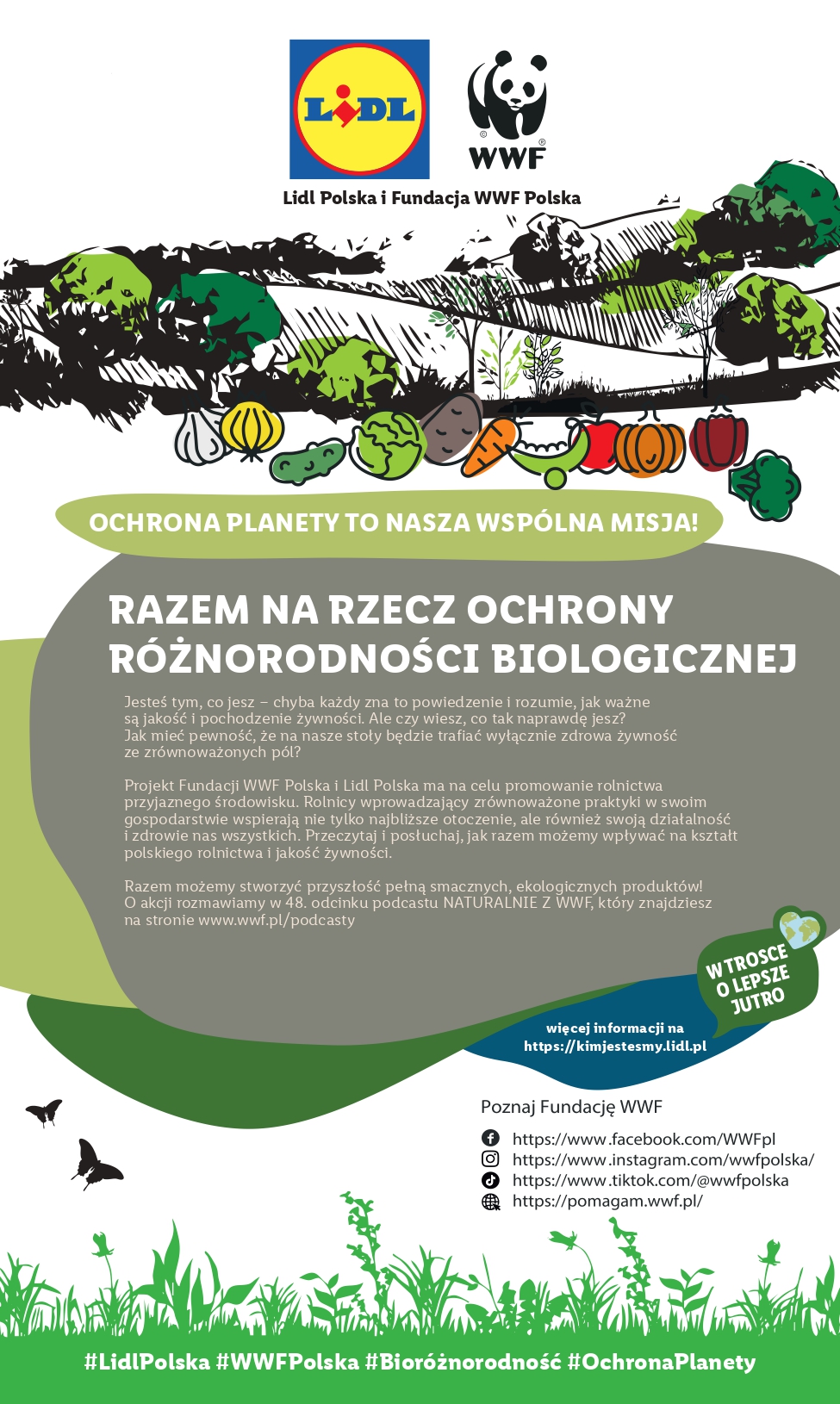 Lidl Katalog gazetka ważna od 27.11.2023 do 02.12.2023 strona 54