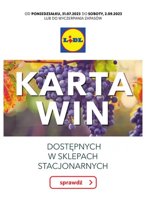 LIDL Katalog gazetka ważna od  31.07.2023 do 05.08.2023 strona 45