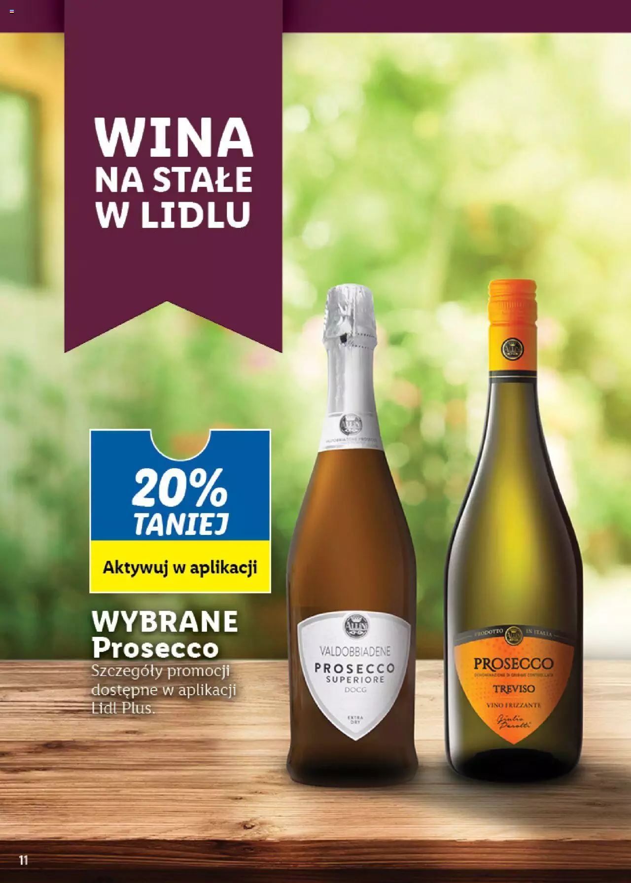 LIDL Katalog Karta wi gazetka ważna od 29.05.2023 do 30.06.2023 strona 11
