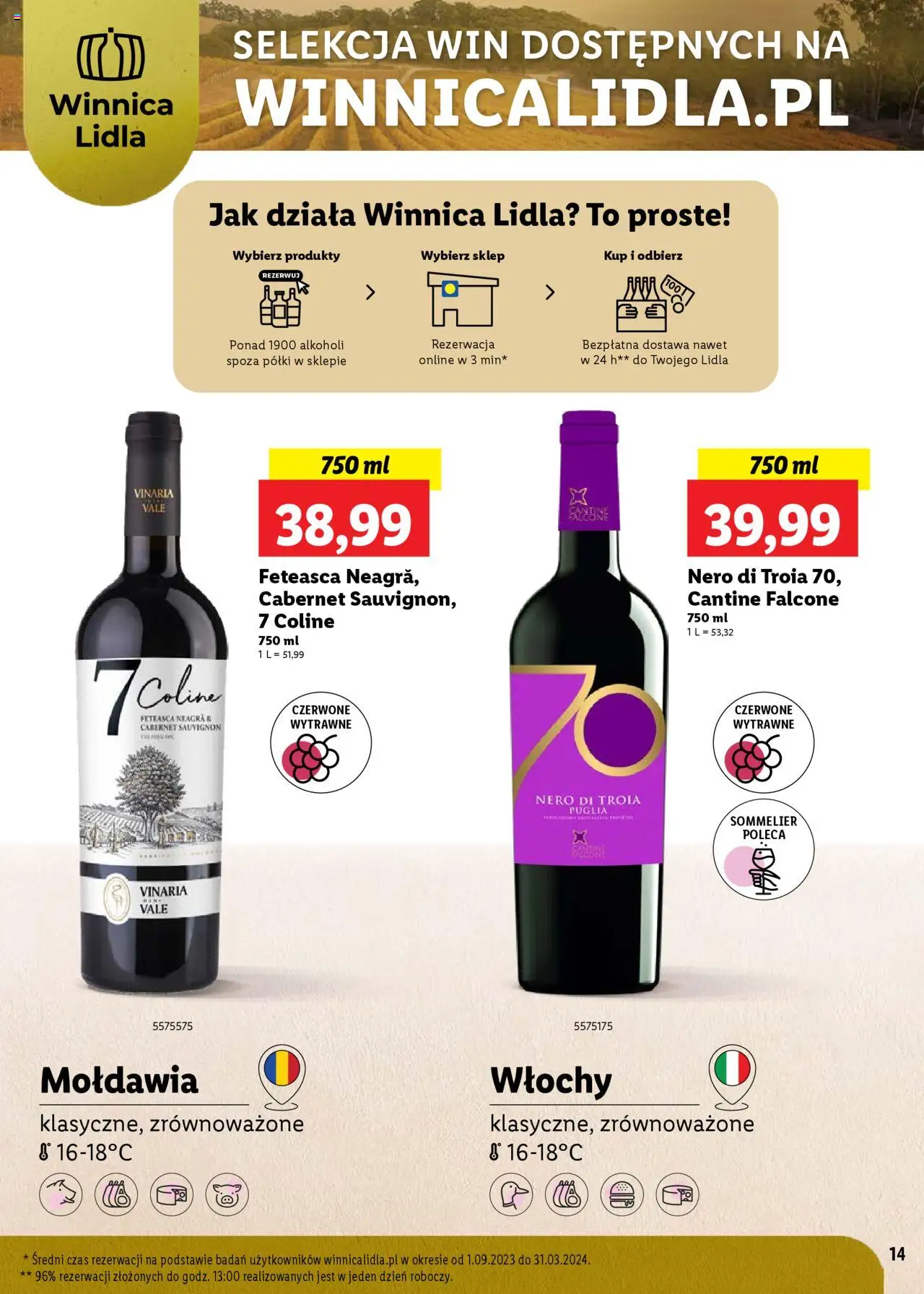 LIDL Katalog karta win gazetka ważna od  07.07.2025 do 02.08.2025 strona 14