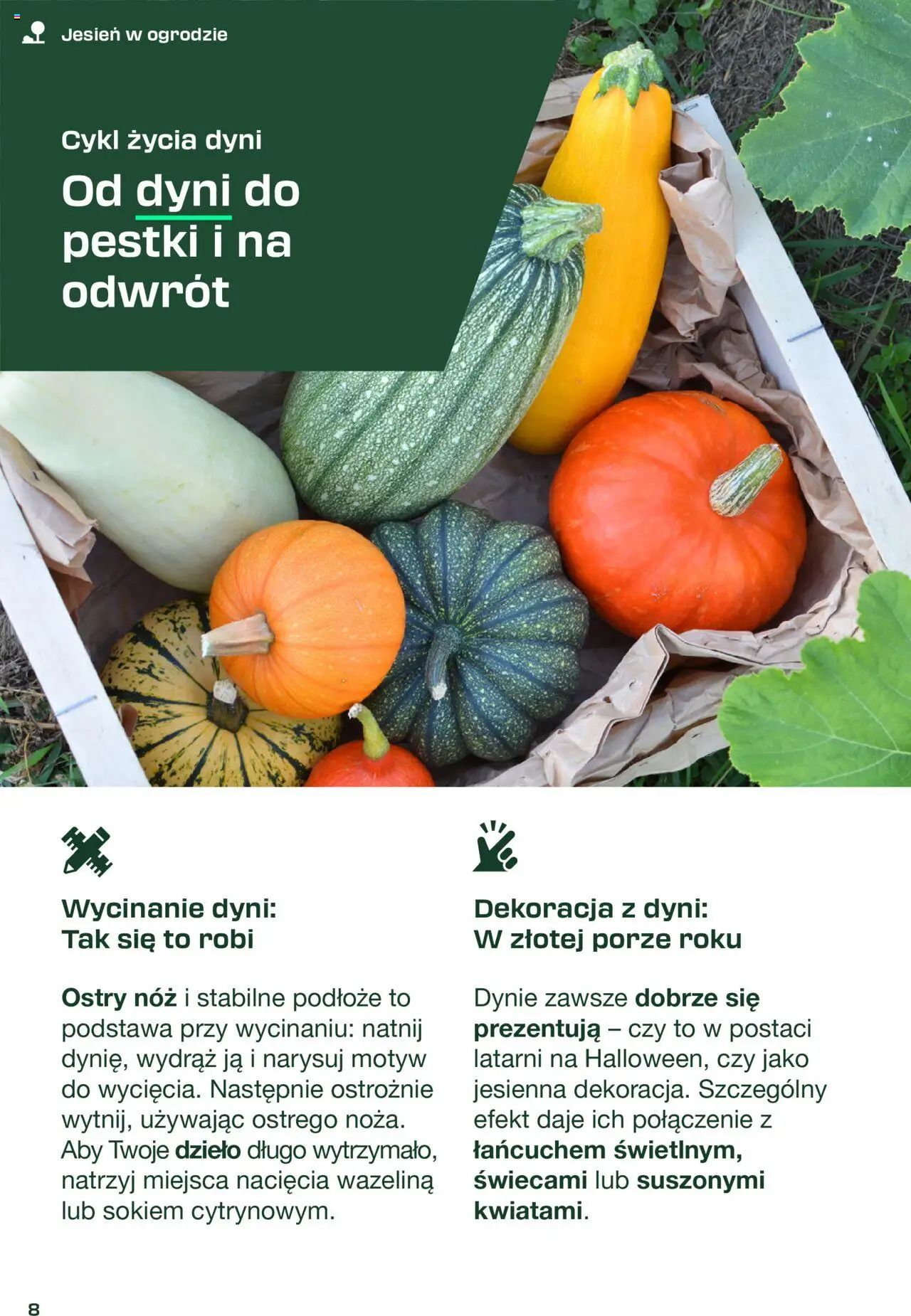 LIDL Parkside gazetka ważna od 31.08.2025 do 11.10.2025 strona 8