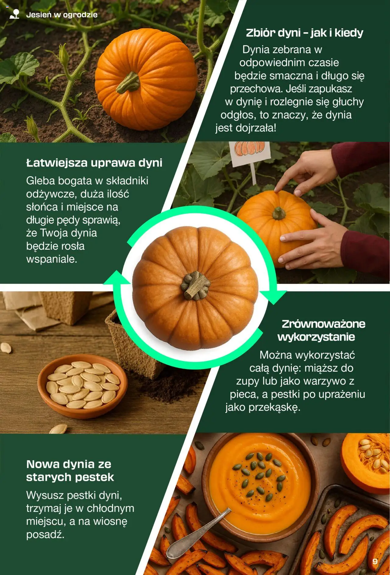 LIDL Parkside gazetka ważna od 31.08.2025 do 11.10.2025 strona 9