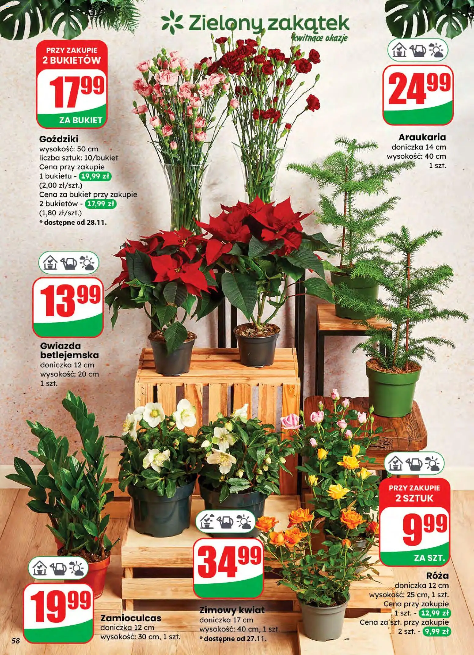 Najnowsza Dino gazetka ważna   od 26.11.2025 do 02.12.2025 strona 57