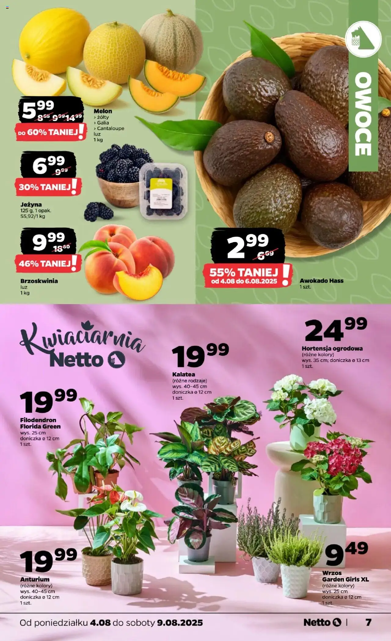 NETTO Gazetka ważna od  04.08.2025 do 09.08.2025 strona 7