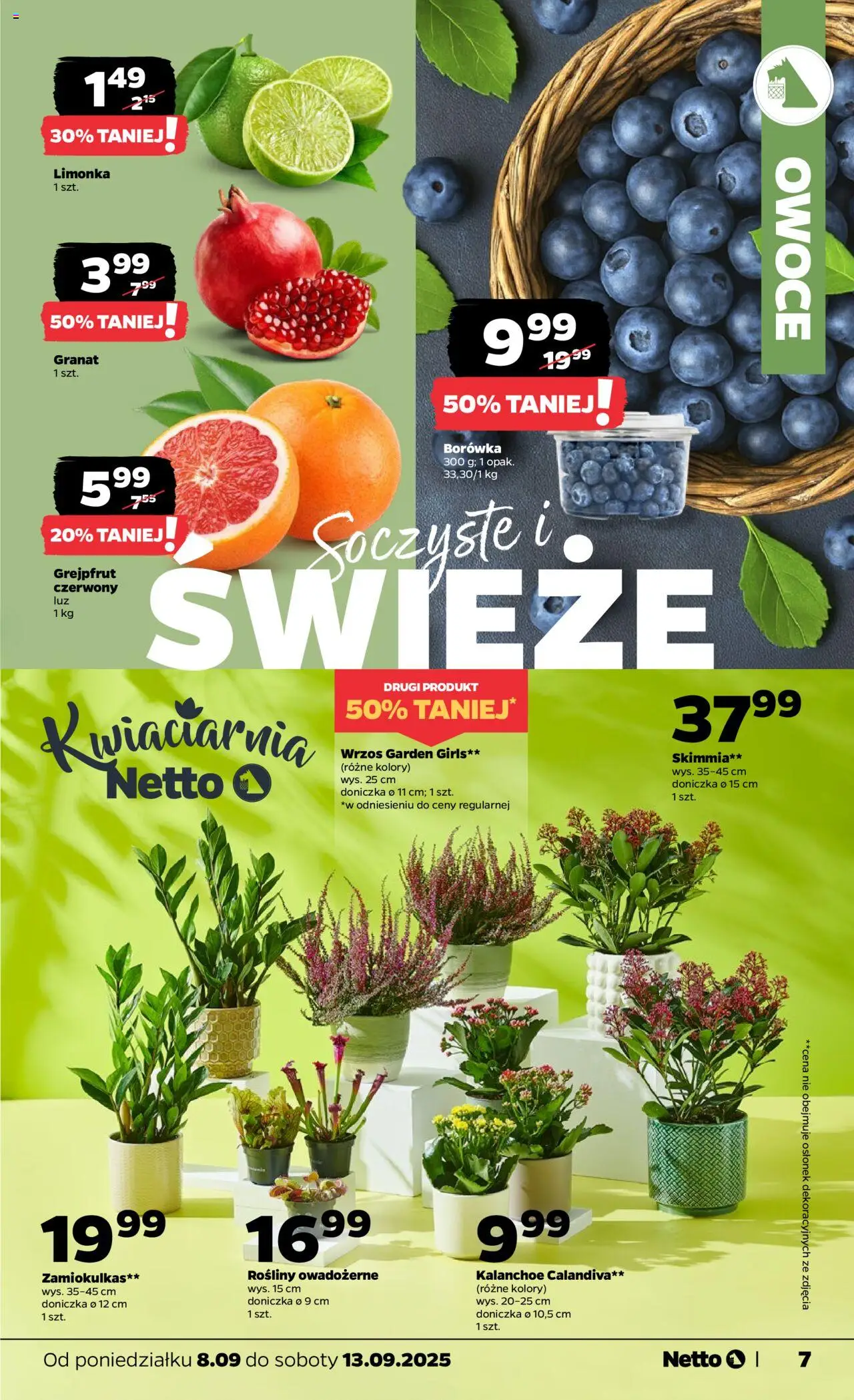 NETTO Gazetka ważna od 08.09.2025 do 13.09.2025 strona 7