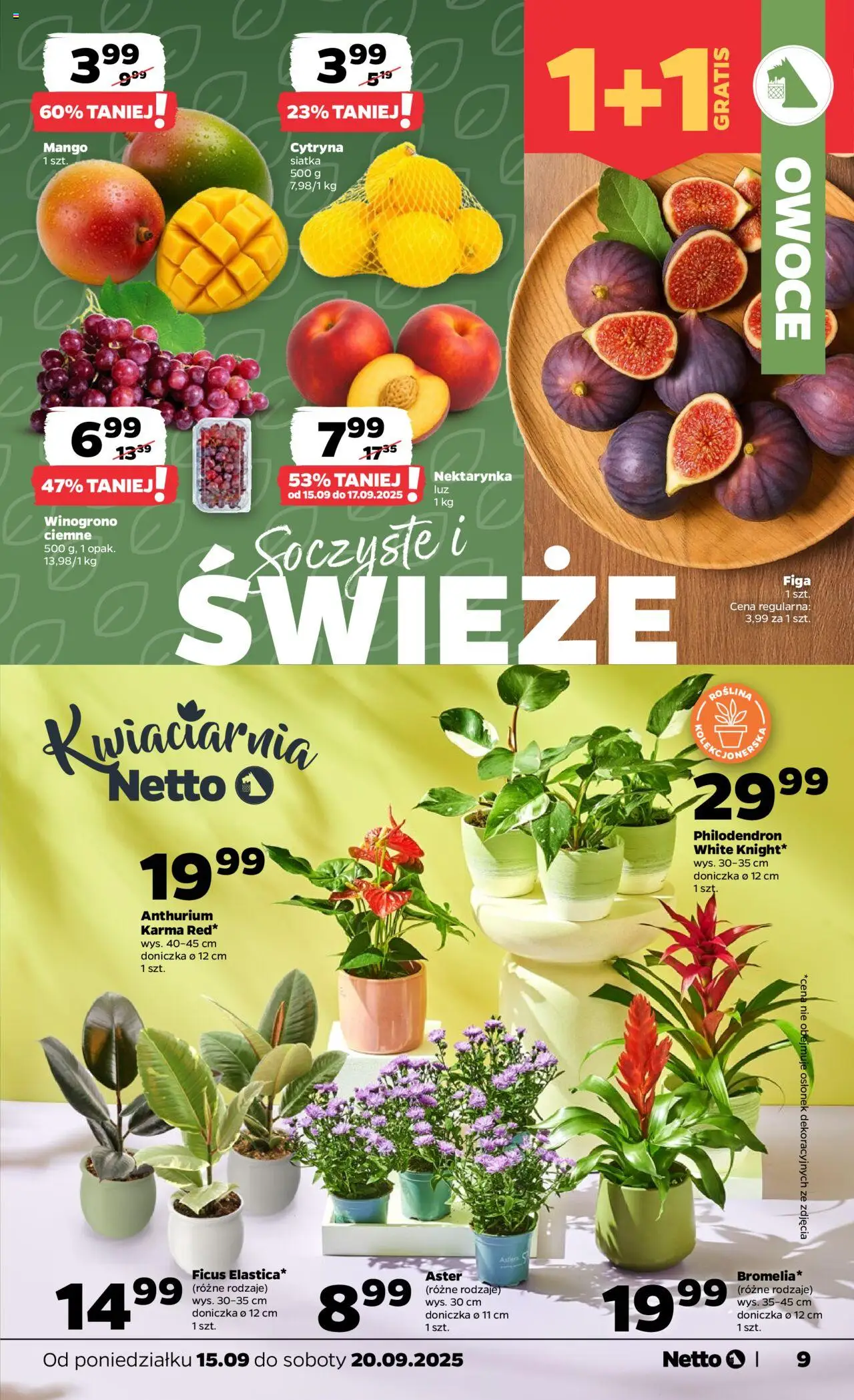 NETTO Gazetka ważna od  15.09.2025 do 20.09.2025 strona 9