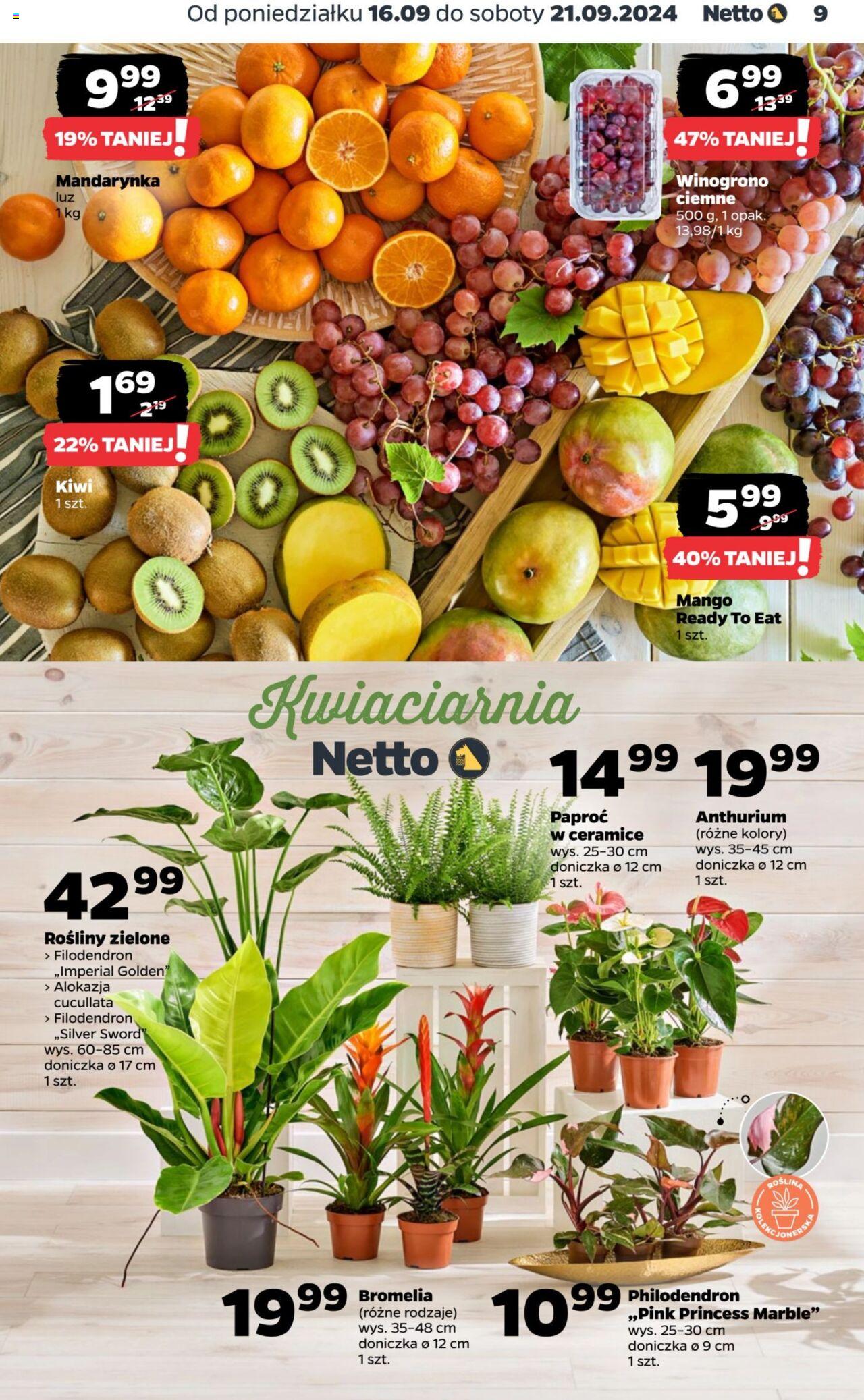 NETTO Gazetka ważna  od 16.09.2024 do 21.09.2024 strona 9