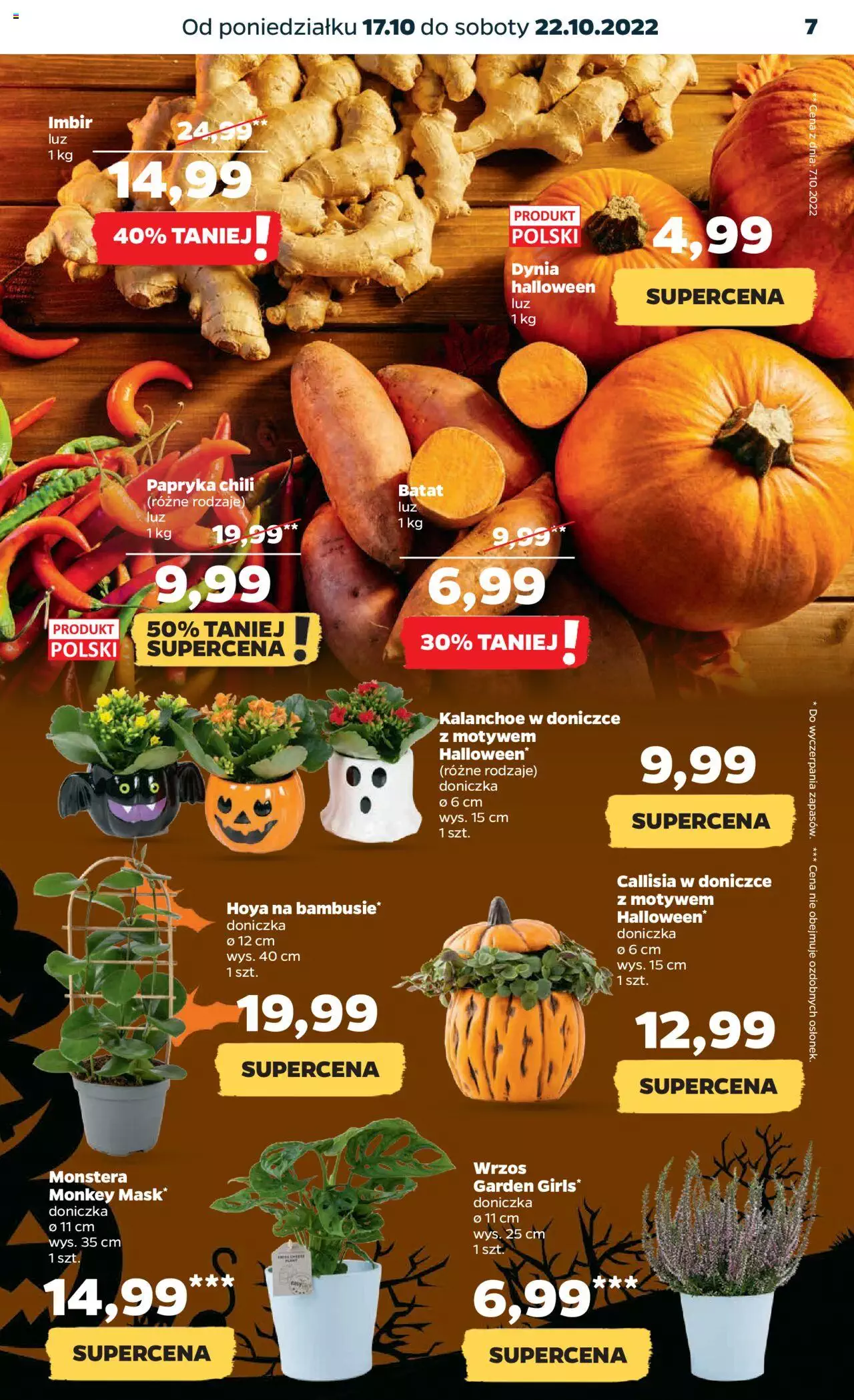 NETTO gazetka ważna od  17.10.2022 do 22.10.2022 strona 7