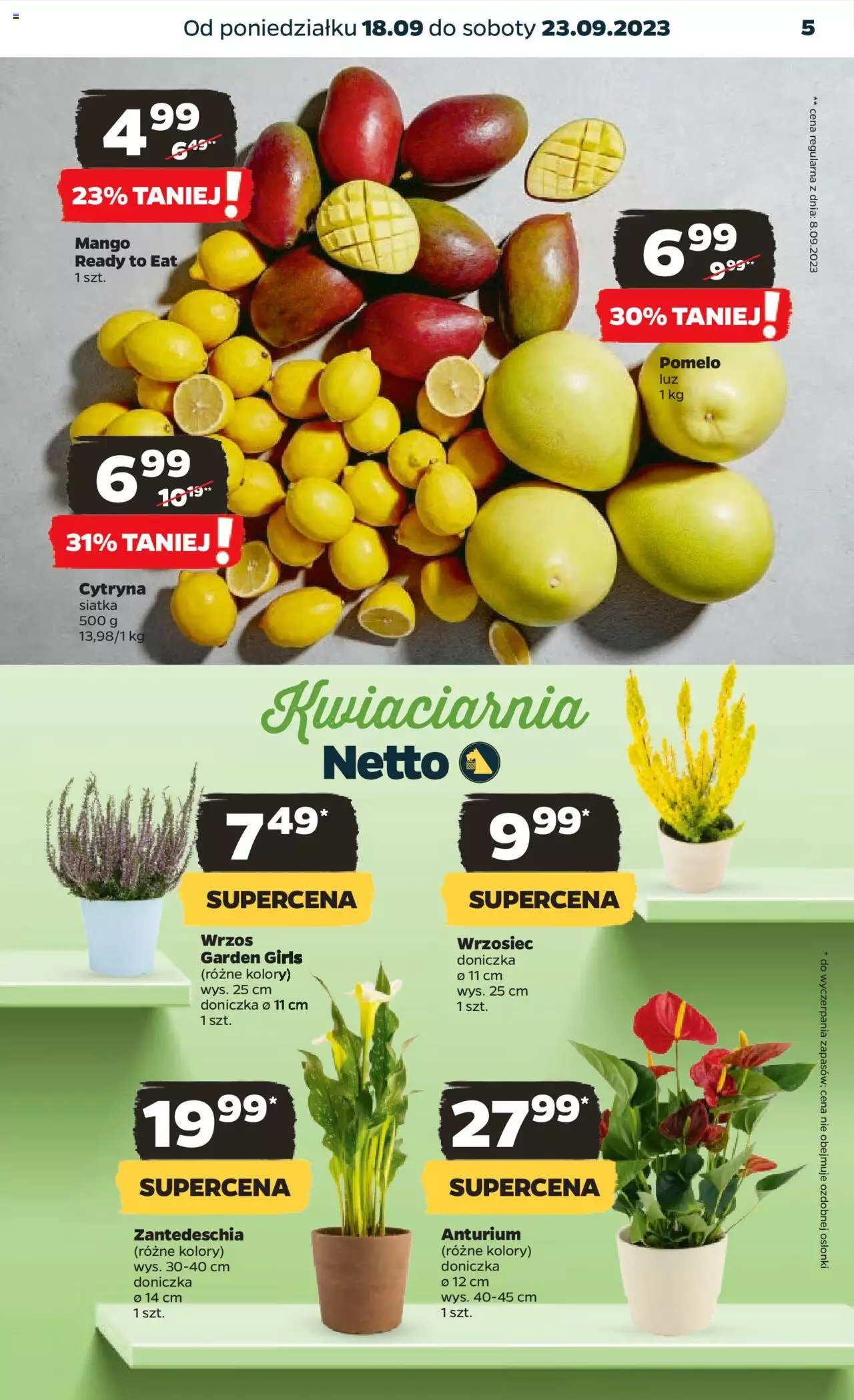 NETTO Gazetka ważna od 18.09.2023 do 23.09.2023 strona 5