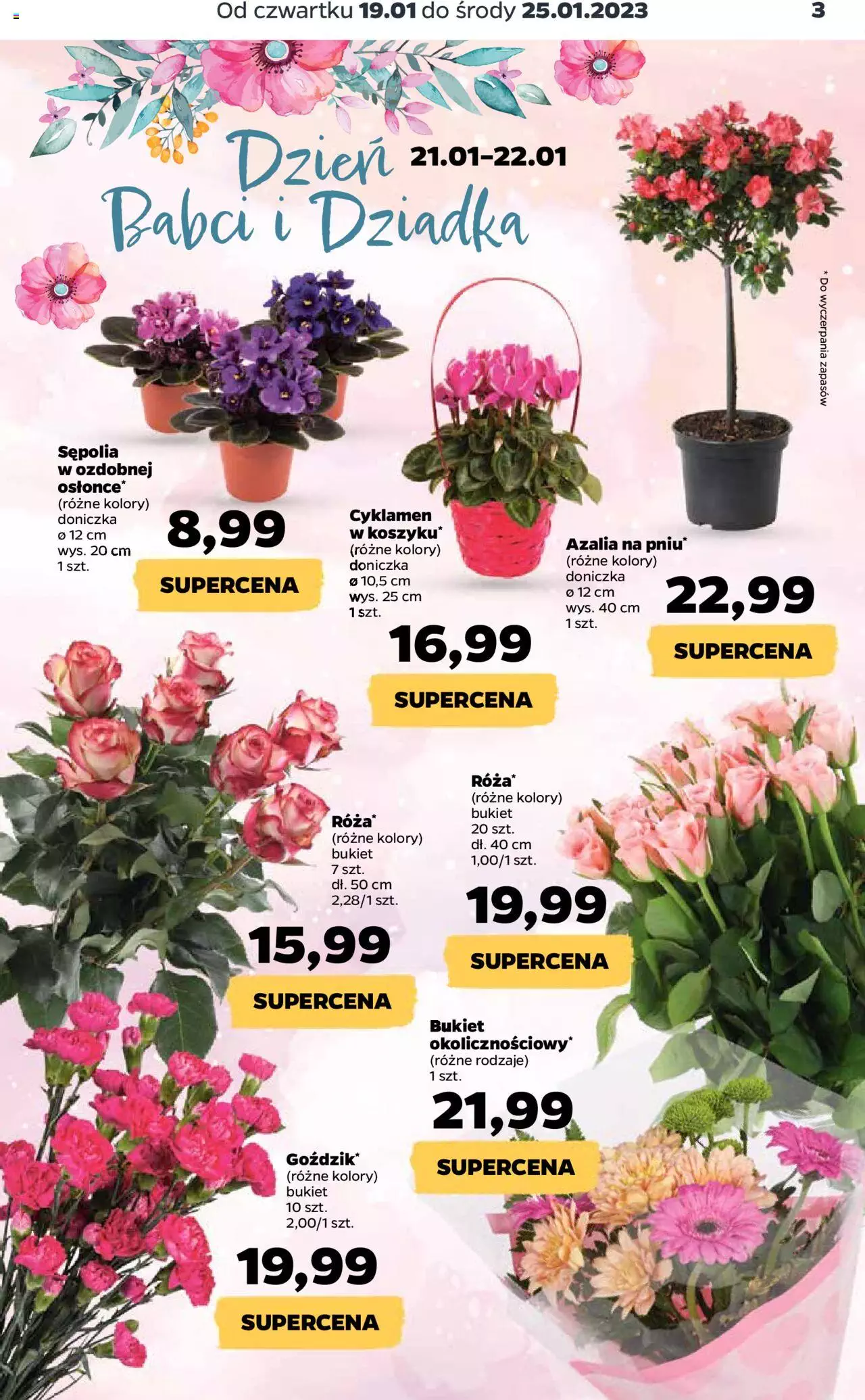 NETTO gazetka ważna od 19.01.2023 do 25.01.2023 strona 3