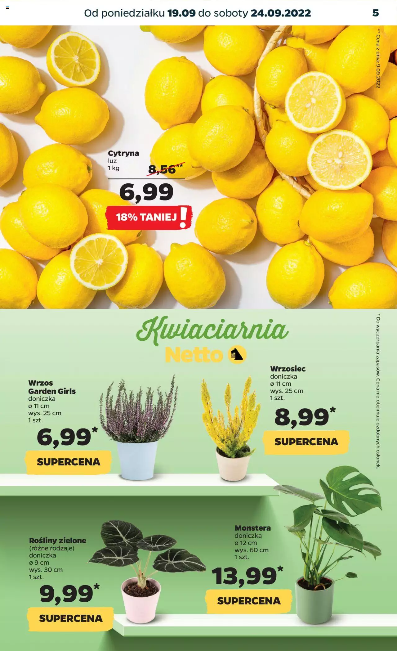 NETTO gazetka ważna  od 19.09.2022 do 24.09.2022 strona 5