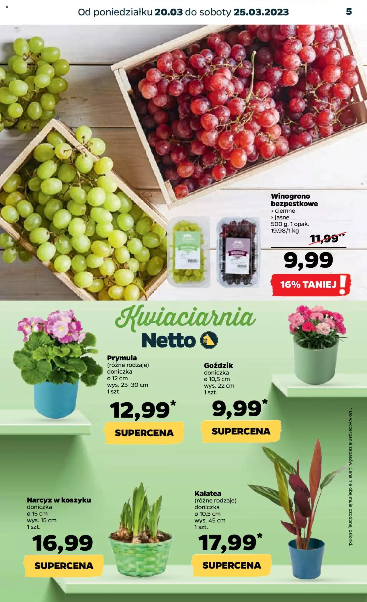 NETTO Gazetka ważna od 20.03.2023 do 25.03.2023 strona 5