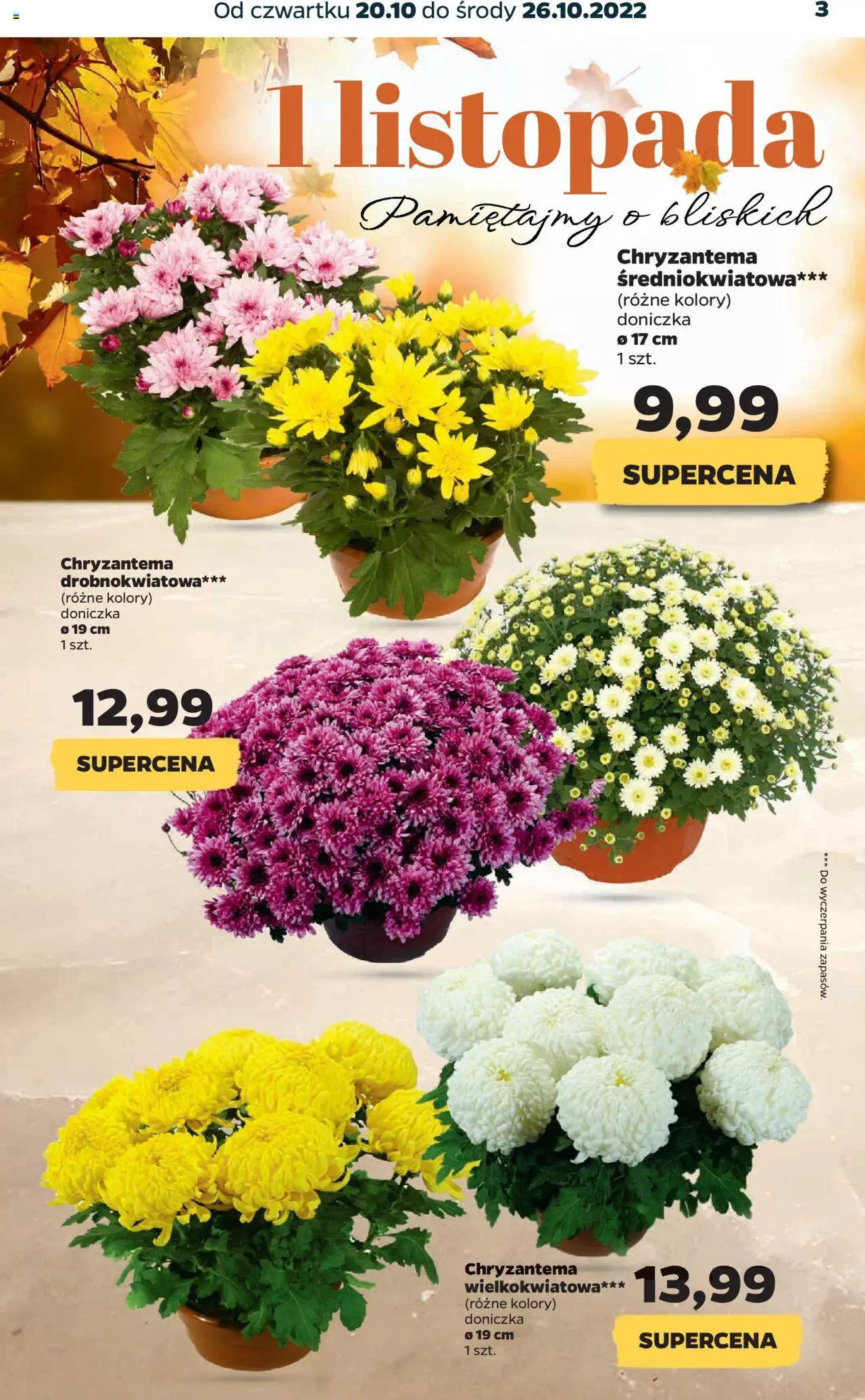 NETTO gazetka ważna od 20.10.2022 do 26.10.2022 strona 3