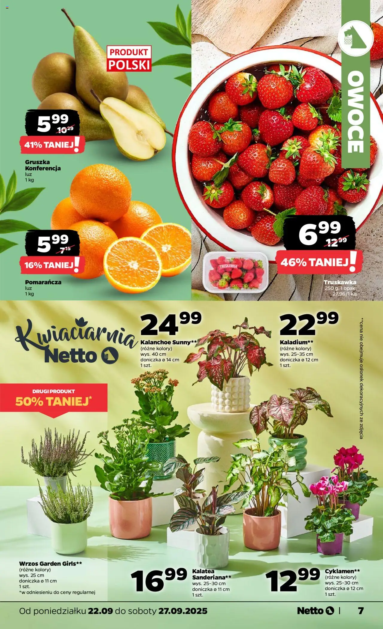 NETTO Gazetka ważna od 22.09.2025 do 27.09.2025 strona 7