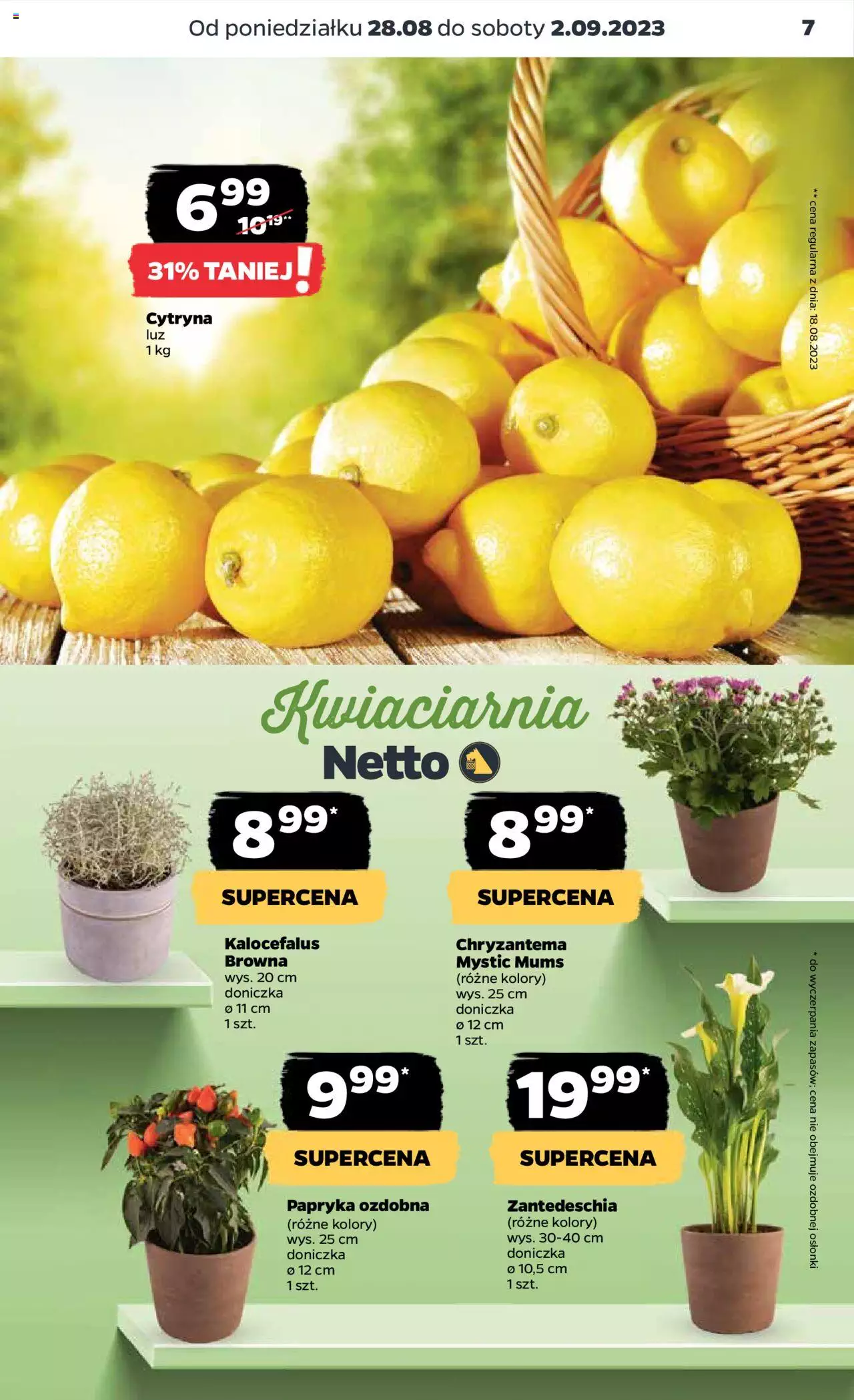NETTO Gazetka ważna od 28.08.2023 do 02.09.2023 strona 7