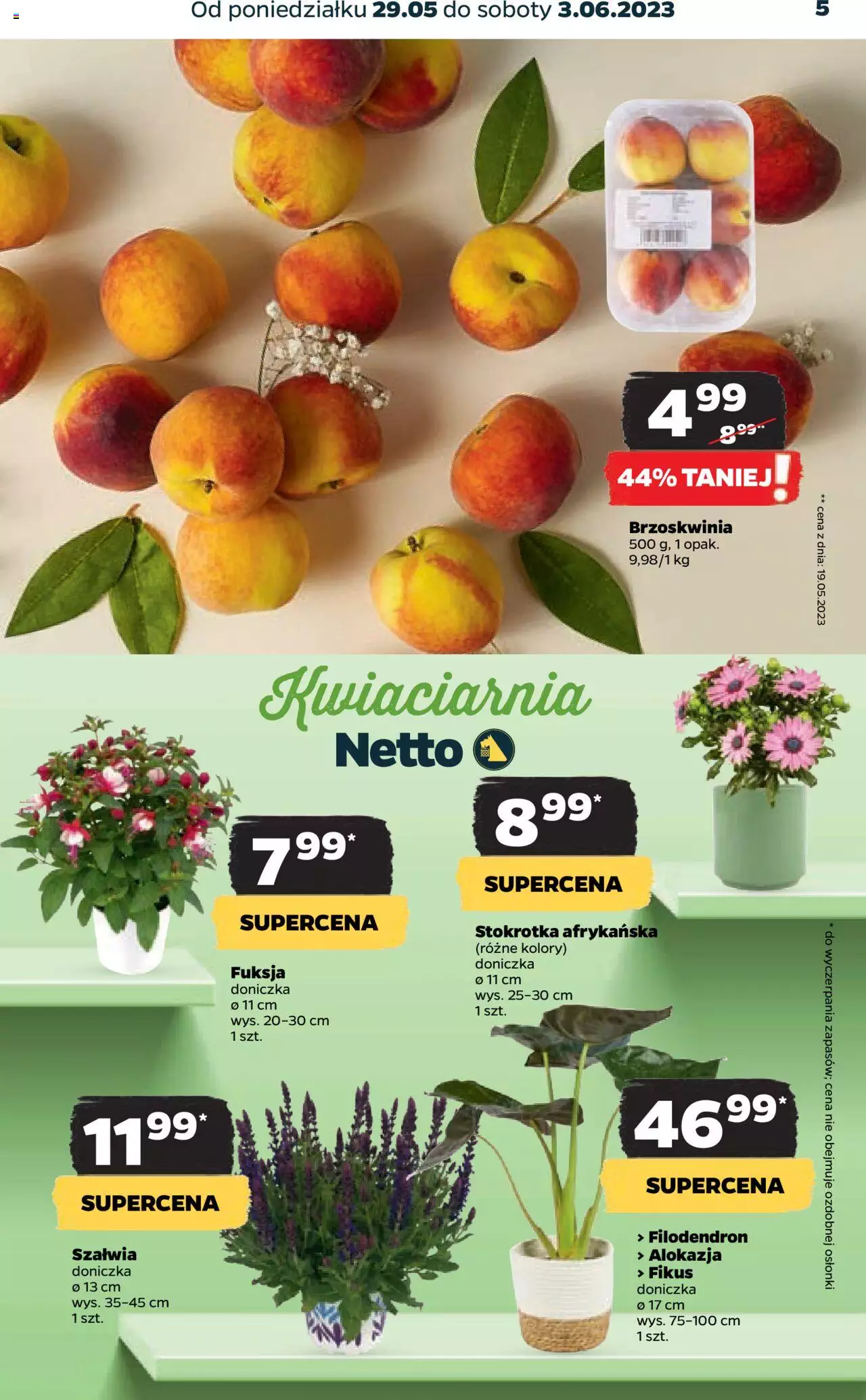 NETTO Gazetka ważna od 29.05.2023 do 03.06.2023 strona 5
