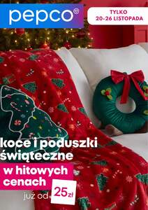 PEPCO gazetka ważna od 20.11.2025 do 26.11.2025