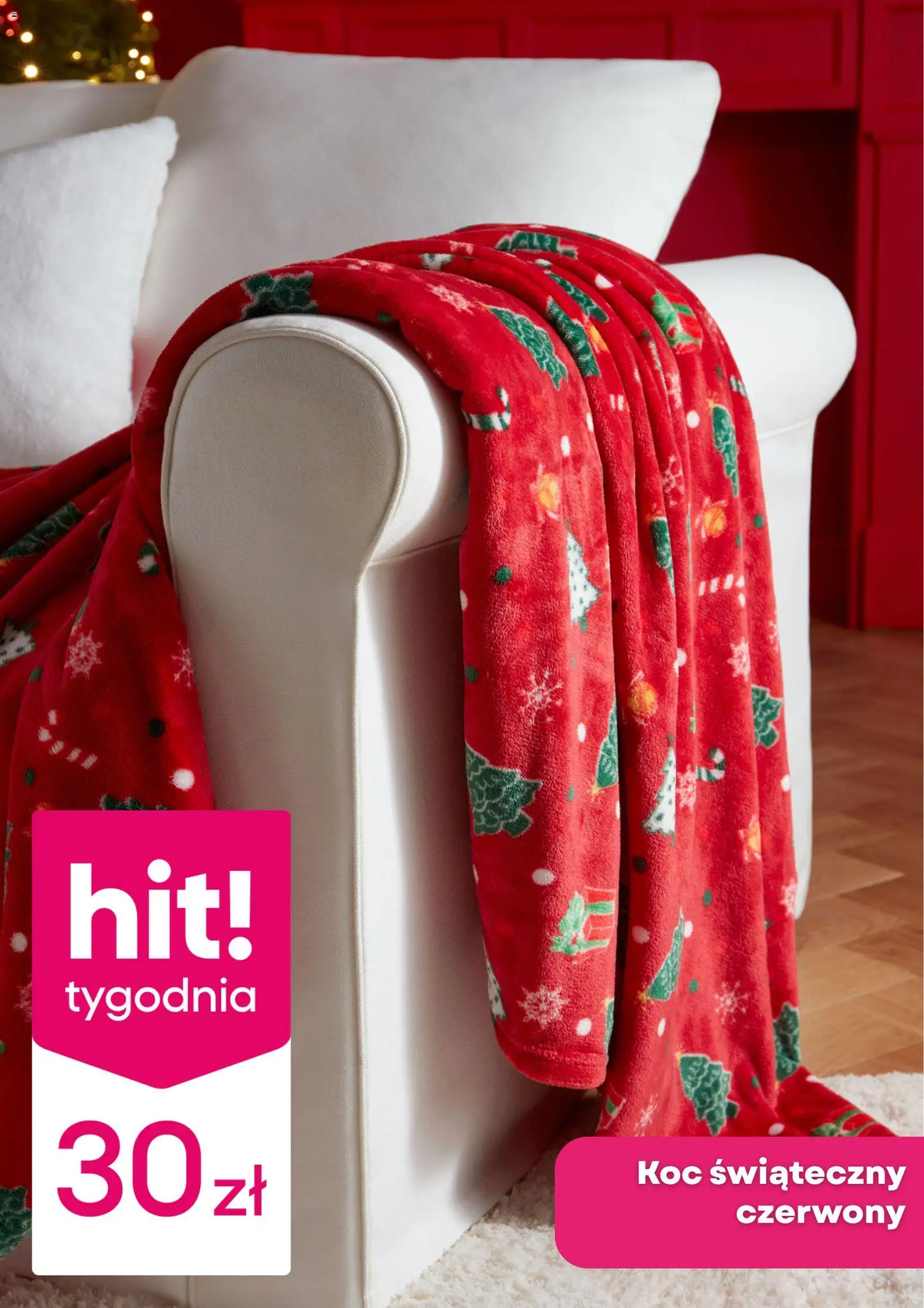 PEPCO gazetka ważna od 20.11.2025 do 26.11.2025 strona 2