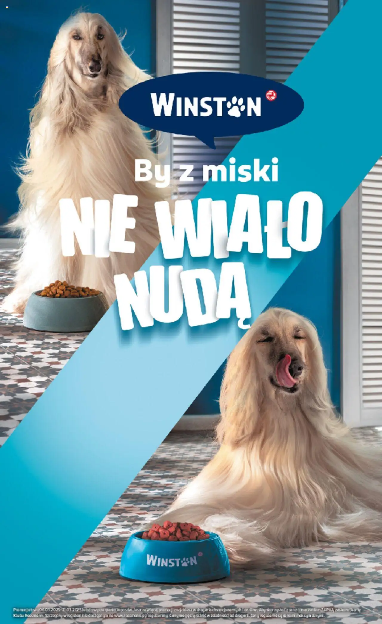 Rossmann gazetka ważna od 06.03.2025 do 21.03.2025 strona 15