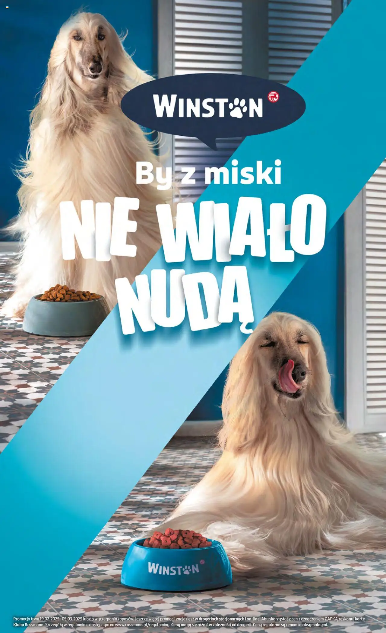 Rossmann gazetka ważna od 19.02.2025 do 05.03.2025 strona 4