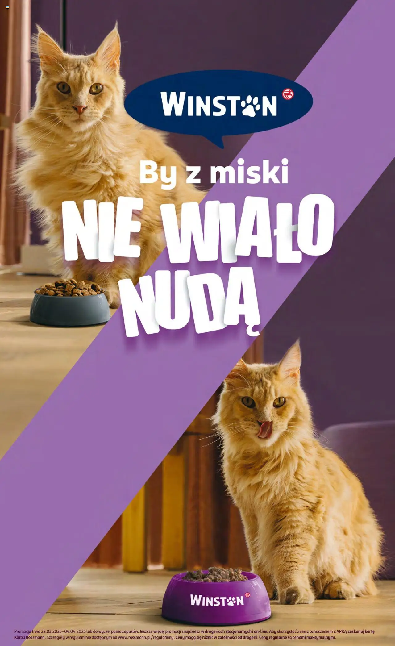 Rossmann gazetka ważna od 22.03.2025 do  04.04.2025 strona 15